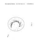 Methods to completely eliminate or significantly reduce defects in copper metallization in IC manufacturing diagram and image