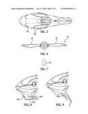 TOY WITH AUDIO AND VISUAL FEEDBACK diagram and image