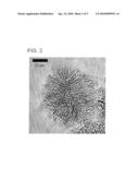 CATALYST- SUPPORTING CARBON NANOHORN COMPOSITE AND PROCESS FOR PRODUCING SAME diagram and image