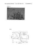 CATALYST- SUPPORTING CARBON NANOHORN COMPOSITE AND PROCESS FOR PRODUCING SAME diagram and image