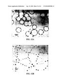 Photochemical methods and photoactive compounds for modifying surfaces diagram and image