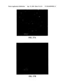 Photochemical methods and photoactive compounds for modifying surfaces diagram and image