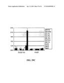 Photochemical methods and photoactive compounds for modifying surfaces diagram and image