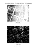 Photochemical methods and photoactive compounds for modifying surfaces diagram and image