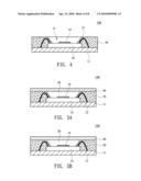 Biochip Package Structure diagram and image