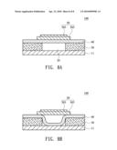 Biochip Package Structure diagram and image