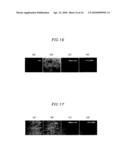 MANUFACTURING AND CLEANSING OF THIN FILM TRANSISTOR PANELS diagram and image