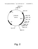 Amylase Variants diagram and image