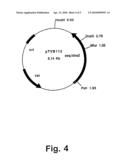 Amylase Variants diagram and image