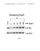 Use of Endothelial Interrupters in the Treatment of Neurodegenerative Diseases diagram and image