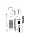 RNA INTERFERENCE MEDIATED INHIBITION OF MUSCARINIC COLINERGIC RECEPTOR GENE EXPRESSION USING SHORT INTERFERING NUCLEIC ACID (siNA) diagram and image