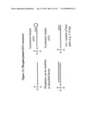 RNA INTERFERENCE MEDIATED INHIBITION OF MUSCARINIC COLINERGIC RECEPTOR GENE EXPRESSION USING SHORT INTERFERING NUCLEIC ACID (siNA) diagram and image