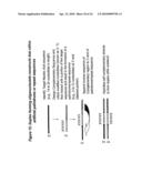 RNA INTERFERENCE MEDIATED INHIBITION OF MUSCARINIC COLINERGIC RECEPTOR GENE EXPRESSION USING SHORT INTERFERING NUCLEIC ACID (siNA) diagram and image