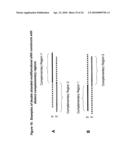 RNA INTERFERENCE MEDIATED INHIBITION OF MUSCARINIC COLINERGIC RECEPTOR GENE EXPRESSION USING SHORT INTERFERING NUCLEIC ACID (siNA) diagram and image