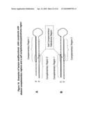 RNA INTERFERENCE MEDIATED INHIBITION OF MUSCARINIC COLINERGIC RECEPTOR GENE EXPRESSION USING SHORT INTERFERING NUCLEIC ACID (siNA) diagram and image