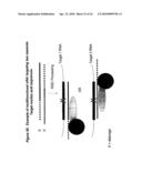 RNA INTERFERENCE MEDIATED INHIBITION OF MUSCARINIC COLINERGIC RECEPTOR GENE EXPRESSION USING SHORT INTERFERING NUCLEIC ACID (siNA) diagram and image