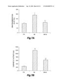 Method of treating diabetes-related vascular complications diagram and image