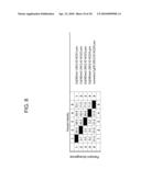 DELTA-8 DESATURASES AND THEIR USE IN MAKING POLYUNSATURATED FATTY ACIDS diagram and image