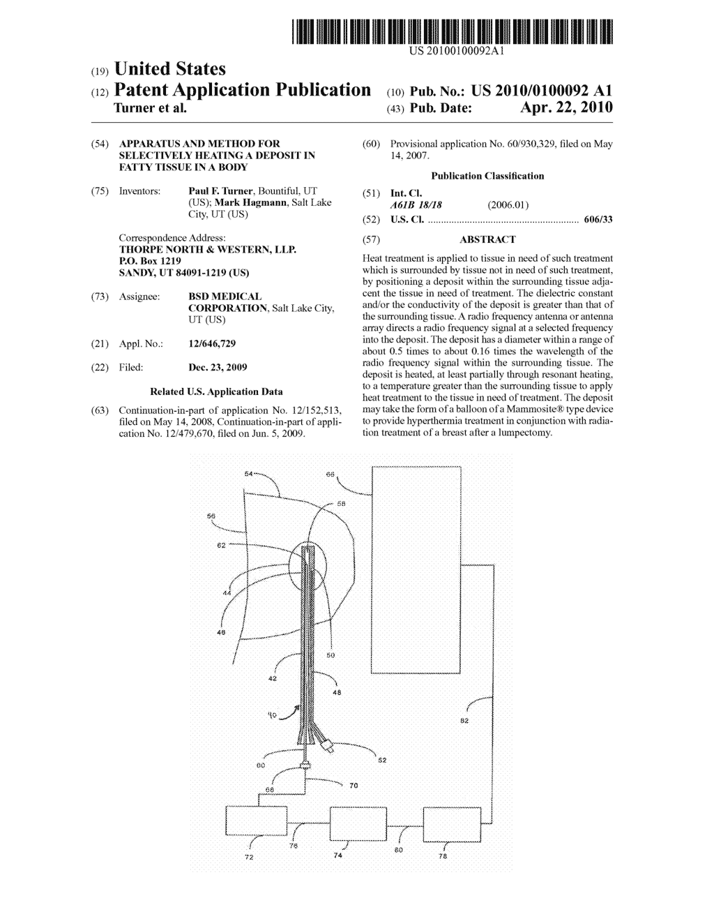 Apparatus and Method for Selectively Heating a Deposit in Fatty Tissue in a Body - diagram, schematic, and image 01