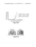 Models of Malignant Brain Cancer, and Therapeutic siRNAs Against Oncogenic Signaling Pathways, and Methods and Kits for Uses Therefor diagram and image