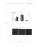 RNAi MEDIATED EXPRESSION INHIBITION OF A CHOLINERGIC PROTEIN diagram and image