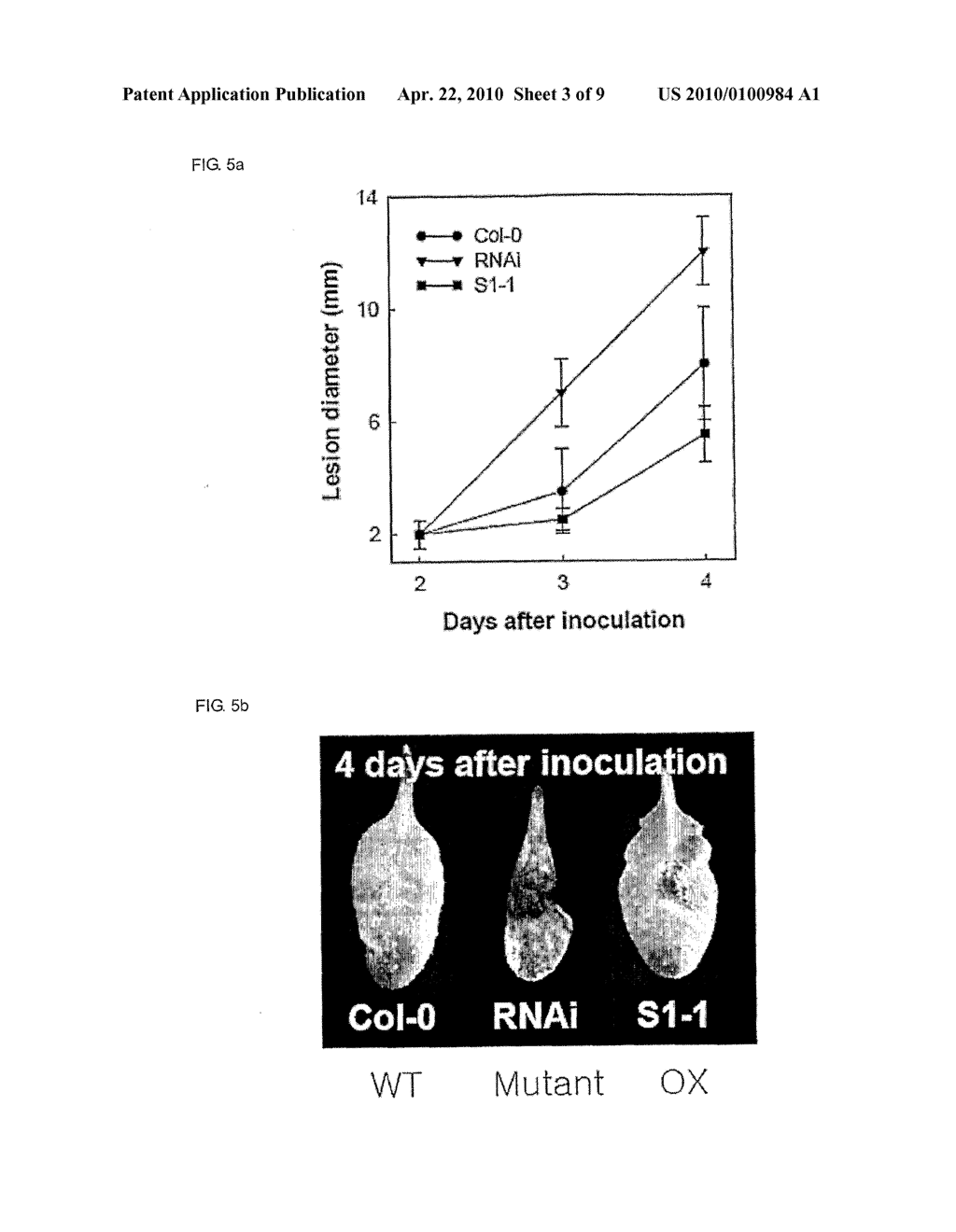 Transgenic Plants Exhibiting Increased Resistance to Biotic and Abiotic Stresses or Accelerated Flowering Time and Methods for Producing the Same - diagram, schematic, and image 04