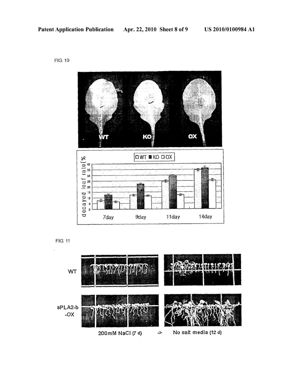 Transgenic Plants Exhibiting Increased Resistance to Biotic and Abiotic Stresses or Accelerated Flowering Time and Methods for Producing the Same - diagram, schematic, and image 09
