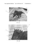 Method for Identifying Dimensions of Shot Subject diagram and image