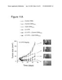 USE OF STERICALLY STABILIZED CATIONIC LIPOSOMES TO EFFICIENTLY DELIVER CPG OLIGONUCLEOTIDES IN VIVO diagram and image
