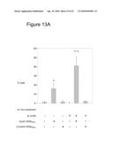 USE OF STERICALLY STABILIZED CATIONIC LIPOSOMES TO EFFICIENTLY DELIVER CPG OLIGONUCLEOTIDES IN VIVO diagram and image