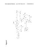 SELENOCYSTEINE MEDIATED HYBRID ANTIBODY MOLECULES diagram and image