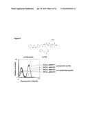 SELENOCYSTEINE MEDIATED HYBRID ANTIBODY MOLECULES diagram and image