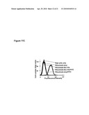 SELENOCYSTEINE MEDIATED HYBRID ANTIBODY MOLECULES diagram and image