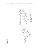 SELENOCYSTEINE MEDIATED HYBRID ANTIBODY MOLECULES diagram and image