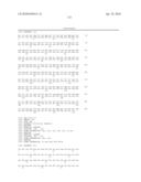 HOMOGENEOUS PREPARATIONS OF IL-28 AND IL-29 diagram and image