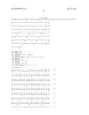 HOMOGENEOUS PREPARATIONS OF IL-28 AND IL-29 diagram and image