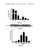 Method for Preventing and Treating Cardiovascular Diseases with BRCA1 diagram and image