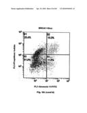 Method for Preventing and Treating Cardiovascular Diseases with BRCA1 diagram and image