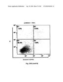 Method for Preventing and Treating Cardiovascular Diseases with BRCA1 diagram and image