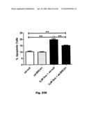 Method for Preventing and Treating Cardiovascular Diseases with BRCA1 diagram and image