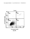 Method for Preventing and Treating Cardiovascular Diseases with BRCA1 diagram and image