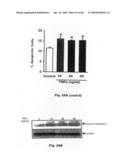 Method for Preventing and Treating Cardiovascular Diseases with BRCA1 diagram and image