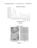 CELL TRANSPLANTATION diagram and image