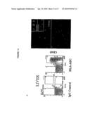 CELLULAR COMPOSITIONS AND METHODS OF MAKING AND USING THEM diagram and image