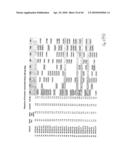 Altered Antibody Fc Regions and Uses Thereof diagram and image