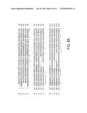 MAMMALIAN GENES; RELATED REAGENTS AND METHODS diagram and image