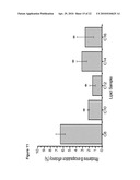 BIODEGRADABLE COMPOSITIONS AND MATERIALS diagram and image