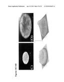 BIODEGRADABLE COMPOSITIONS AND MATERIALS diagram and image