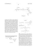 METHODS FOR THE PREPARATION OF TARGETING AGENT FUNCTIONALIZED DIBLOCK COPOLYMERS FOR USE IN FABRICATION OF THERAPEUTIC TARGETED NANOPARTICLES diagram and image