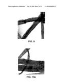 DISPERSION OF COMPOSITE MATERIALS, IN PARTICULAR FOR FUEL CELLS diagram and image